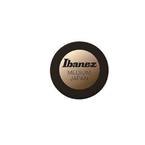 Ibanez ( �A�C�o�j�[�Y ) / PA1M Black�ċx�݃Z�[��