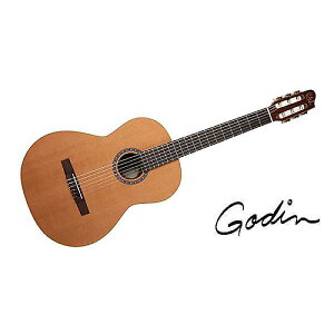 GODIN GUITAR ( S_M^[ ) / COLLECTION CLASICA IIċx݃Z[
