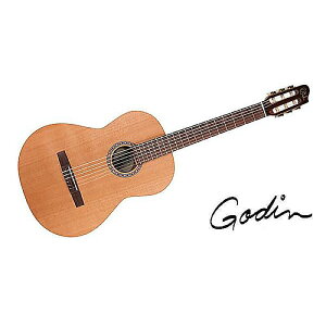 GODIN GUITAR ( S_M^[ ) / CONCERTċx݃Z[