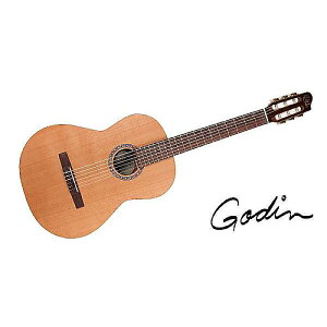 GODIN GUITAR ( S_M^[ ) / CONCERT CLASICA IIċx݃Z[