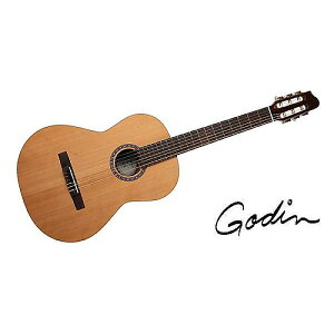 GODIN GUITAR ( S_M^[ ) / CONCERT LEFTċx݃Z[