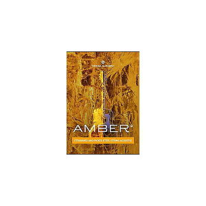 UJAM ( ���[�W���� ) / Virtual Guitarist AMBER 2 �p�b�P�[�W�[�i�ċx�݃Z�[��