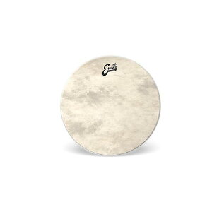 EVANS ( �G�o���X ) / BD22GB4CT�@EQ4 �J�[�t�g�[�� 22�C���`�ċx�X�y�V����