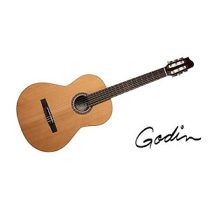 GODIN GUITAR ( S_M^[ ) / CONCERT LEFT CLASICA IIċx݃Z[