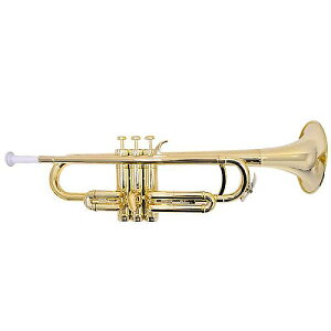 PLAYTECH ( vCebN ) / PTTR-050GD vX`bNgybg S[hċxXyV