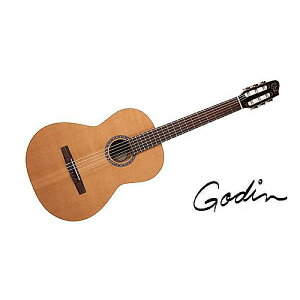 GODIN GUITAR ( S_M^[ ) / ETUDE CLASICA IIċx݃Z[