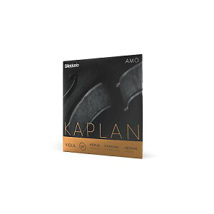 DADDARIO ( __I ) / KA413 MM Kaplan AMO rI G Medium Scale MediumċxXyV