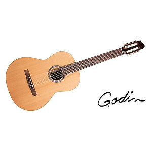 GODIN GUITAR ( S_M^[ ) / ETUDE LEFTċx݃Z[