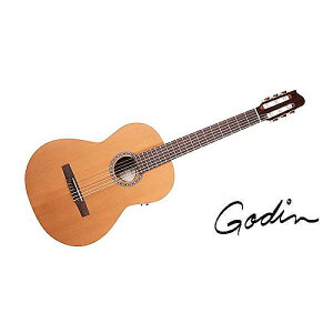 GODIN GUITAR ( S_M^[ ) / ETUDE LEFT CLASICA IIċx݃Z[