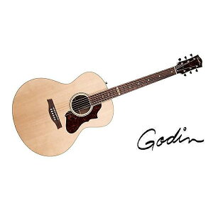 GODIN GUITAR ( S_M^[ ) / FORUM NATURAL RN GT EQċx݃Z[