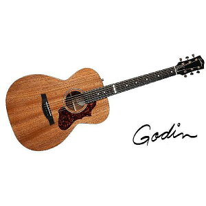 GODIN GUITAR ( S_M^[ ) / Fairmount CH Composer QITċx݃Z[