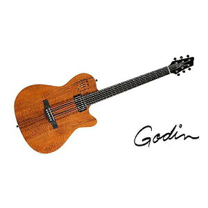 GODIN GUITAR ( S_M^[ ) / A6 ULTRA EXTREME KOA HGċx݃Z[