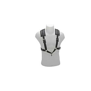 BG ( r[W[ ) / S40CM TbNXXgbvċxXyV