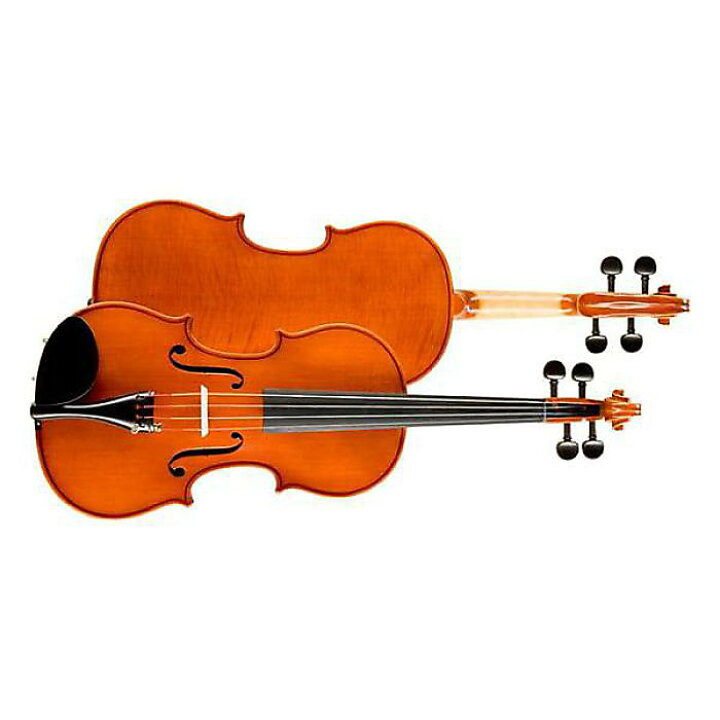 楽天市場】SUZUKI VIOLIN ( スズキバイオリン ) / No.310 バイオリン1 