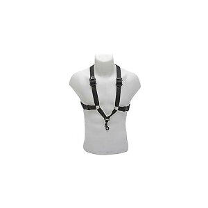 BG ( r[W[ ) / S40SH TbNXXgbv n[lXċxXyV