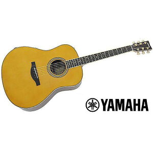 YAMAHA ( }n ) / LL-TA VTċx݃Z[