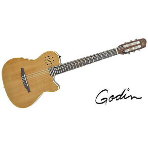 GODIN GUITAR ( S_M^[ ) / Multiac Nylon Encore Natural SGċx݃Z[