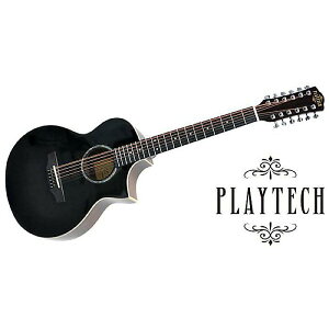 PLAYTECH ( vCebN ) / AD35-12C Black 12M^[ċx݃Z[