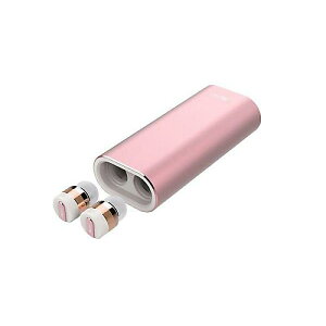 Beat-in ( �r�[�g�C�� ) / Beat-in Power Bank ���[�Y�S�[���h BI9317�ċx�݃Z�[��
