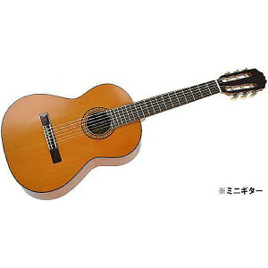 ARIA PEPE ( AAyy ) / PS-53ċx݃Z[