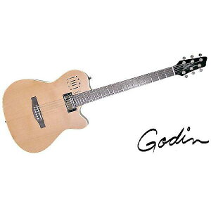 GODIN GUITAR ( S_M^[ ) / A6 ULTRA Natural SGċx݃Z[