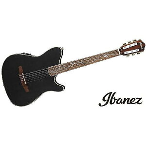 Ibanez ( アイバニーズ ) / TOD10N-TKF ティム・ヘンソン・モデル夏休みセール