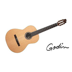 GODIN GUITAR ( S_M^[ ) / PRESENTATIONċx݃Z[