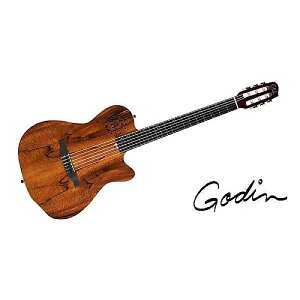GODIN GUITAR ( S_M^[ ) / ACS KOA EXTREME FIGURE HGċx݃Z[