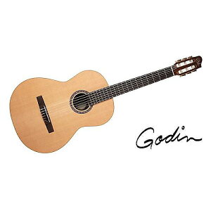 GODIN GUITAR ( S_M^[ ) / PRESENTATION CLASICA IIċx݃Z[