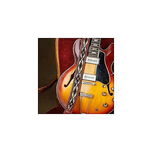 Blue Bell Straps ( u[xXgbv ) / 1968 Navajo Thinline Cherryċx݃Z[