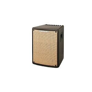 Ibanez ( アイバニーズ ) / T80IISM夏休みセール