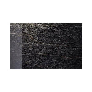 CANOPUS ( JmEvX ) / M-1465DH-BR Lacquer Finish EbonyċxXyV