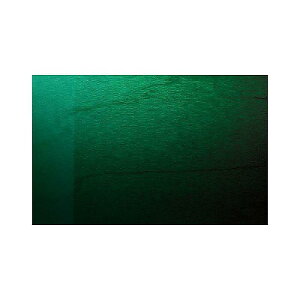 CANOPUS ( JmEvX ) / M-1465DH-BR Lacquer Finish Emerald Fadeċx݃Z[