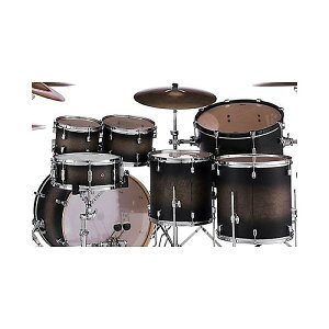 PEARL ( �p�[�� ) / DMP1414F/C DECADE MAPLE 14 X 14�t���A�^�� #262�ċx�X�y�V����