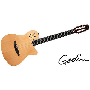 GODIN GUITAR ( S_M^[ ) / ACS Nylon Natural SGċx݃Z[