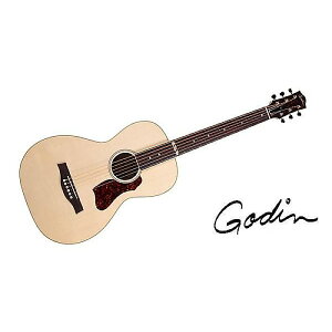 GODIN GUITAR ( S_M^[ ) / RIALTO NATURAL RN GT EQċx݃Z[