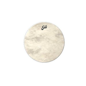 EVANS ( �G�o���X ) / BD22CT�@�J�[�t�g�[�� 22�C���` �o�X�h�����w�b�h�ċx�X�y�V����
