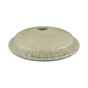 REMO ( ���� ) / M7-S110-N5�ċx�X�y�V����
