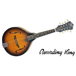 RECORDING KING ( R[fBOLO ) / RAM-3-TS AX^Ctbg}hċxXyV