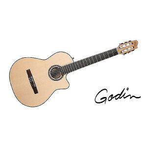 GODIN GUITAR ( S_M^[ ) / ARENA FLAME MAPLE CW EQċx݃Z[