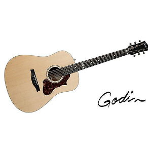 GODIN GUITAR ( S_M^[ ) / METROPOLIS CLASSIC ELEMENT W/BAGċx݃Z[