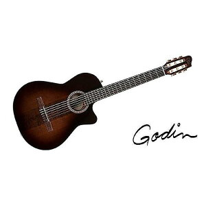 GODIN GUITAR ( S_M^[ ) / ARENA PRO CW BOURBON BURST EQċx݃Z[