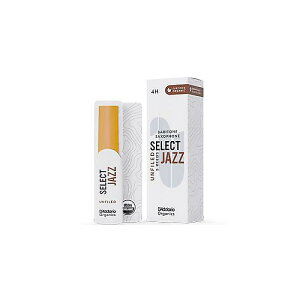 DAddario Woodwinds ( __IEbhECY ) / ogTbNX[h I[KjbN ZNgWY 4H At@Chċx݃Z[