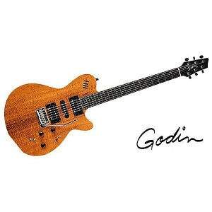 GODIN GUITAR ( S_M^[ ) / XTSA KOA EXTREMEċx݃Z[