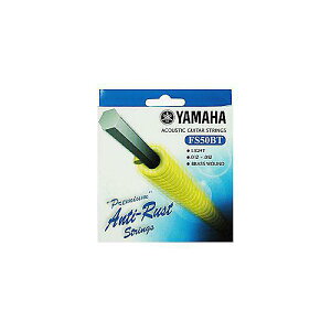 YAMAHA ( ���}�n ) / FS50BT �A�R�M�p�R�[�e�B���O���ċx�݃Z�[��