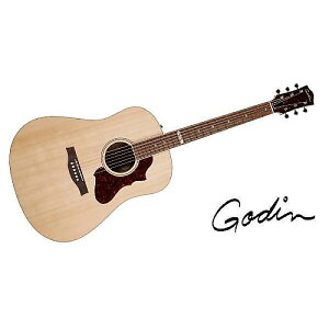 GODIN GUITAR ( S_M^[ ) / METROPOLIS NATURAL RN GT EQċx݃Z[