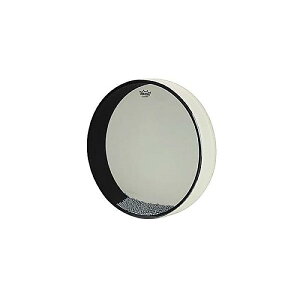 REMO ( ���� ) / Ocean Drum 12 x 2 1/2inch standard�@�I�[�V�����h�����ċx�X�y�V����