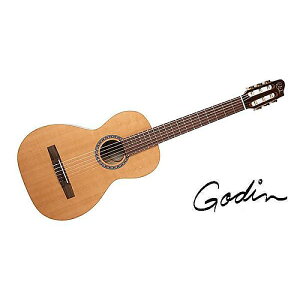 GODIN GUITAR ( S_M^[ ) / MOTIFċx݃Z[