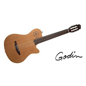 GODIN GUITAR ( S_M^[ ) / MULTIAC GRAND CONCERT ENCOREċx݃Z[