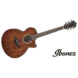 Ibanez ( ACoj[Y ) / AE295LTD-NTċx݃Z[